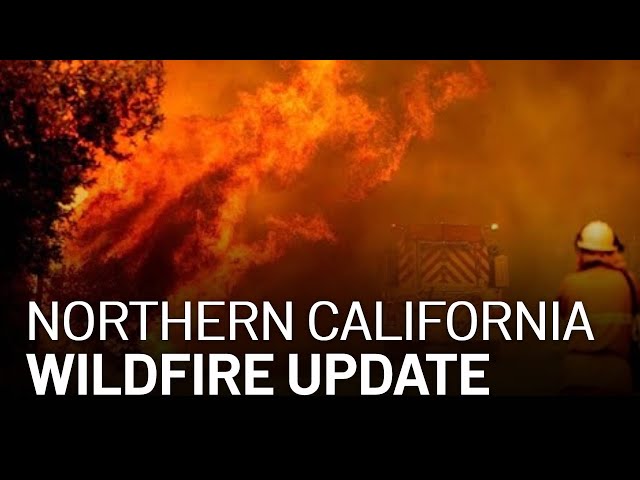 LIVE: Updates on California Wildfires, Evacuations [8/25 4 PM]