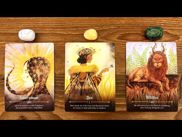 SOMETHING IMPORTANT YOU NEED TO HEAR! 🌞🐝✨ | Pick a Card Tarot Reading