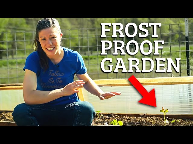 DIY Cold Frames for Cheap, Easy, Early Garden Planting