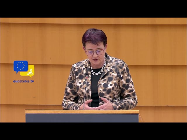 MEP Birgit Sippel debates European Union's migration and EU asylum policy