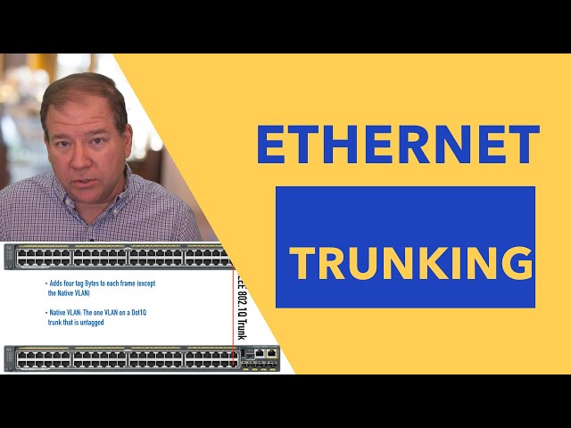 CCNA (200-301): Ethernet Trunking and VLAN Pruning