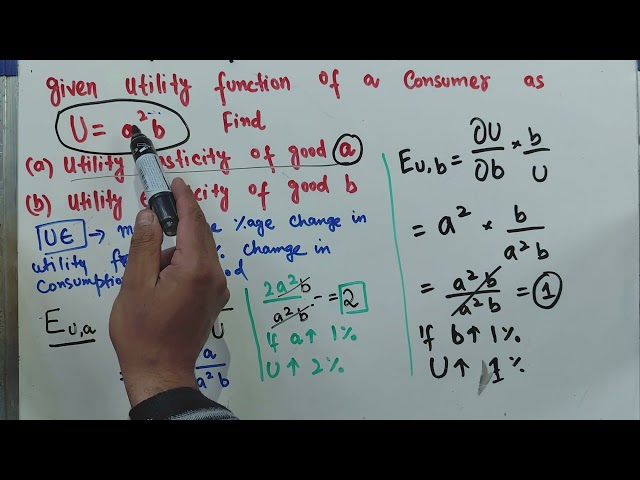 calculate utility elasticity from utility function
