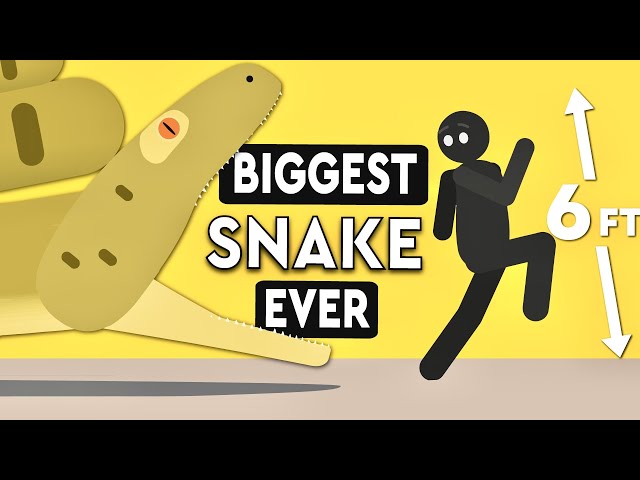 What's The Biggest Snake In The World Ever?! DEBUNKED