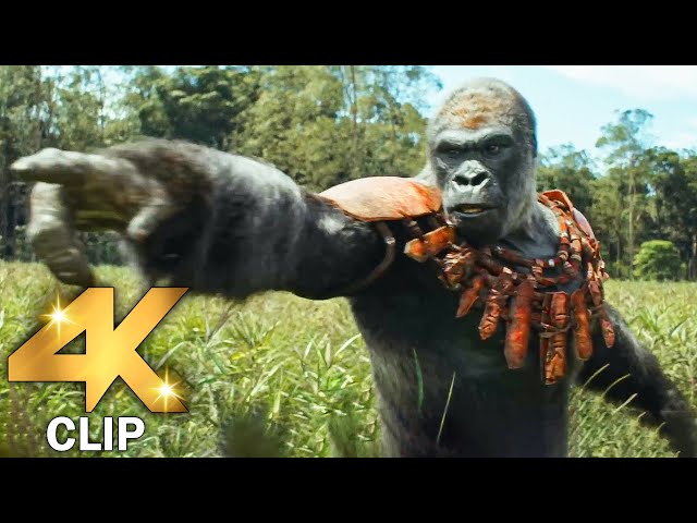 KINGDOM OF THE PLANET OF THE APES All CLIPS + Trailer (4K ULTRA HD) 2024