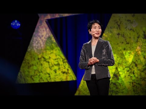 An economic case for protecting the planet | Naoko Ishii