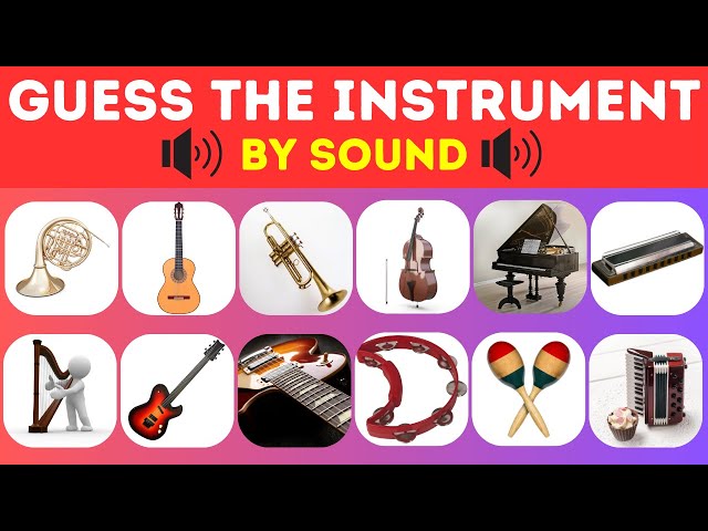 Guess the Instrument | Musical Sound Quiz | Instrument Sounds | The Quiz Ocean