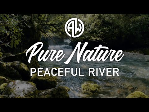 Pure Nature Ambience - Ambient Worlds