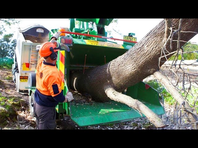Extreme Powerful Wood Chipper Machines Working, Fastest Crazy Tree Shredder Machines