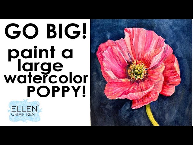 How to paint a Large Watercolor Poppy