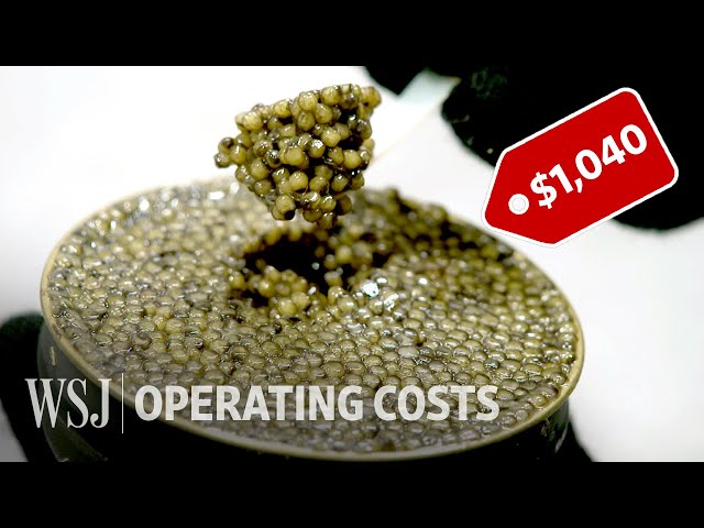 How to Run a $10 Million Caviar Farm | WSJ Operating Costs