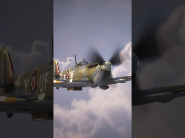 The Spitfire Guns Packed Some Serious Power