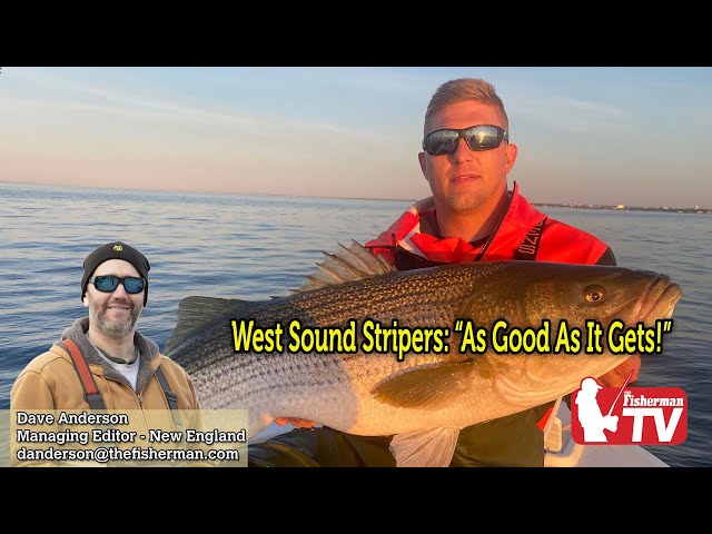 June 16th 2022 New England Video Fishing Forecast with Dave Anderson