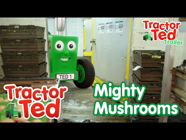 Mighty Mushrooms 🍄 | New Tractor Ted Trailer | Tractor Ted Official Channel