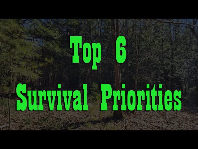 Top 6 Survival Priorities ~ Preparedness