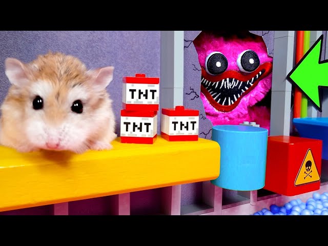 Amazing LEGO MINECRAFT STORIES with cute brave HAMSTERS