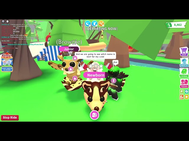 Witch name sounds better? #roblox #capcut #fun #names #dreampet