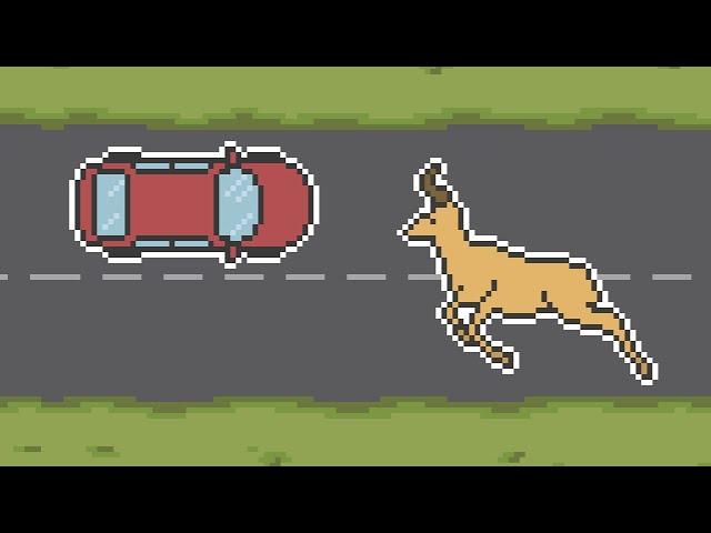 The Science of Roadkill