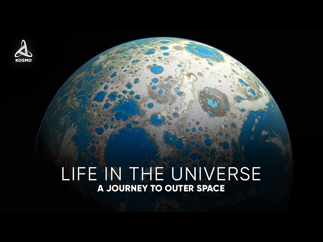 Life in the Universe. A Journey to Outer Space