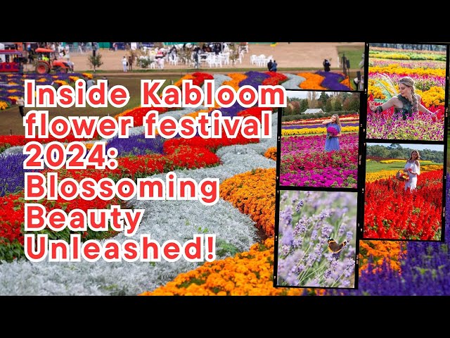 Kabloom 2024: Discover the Blooming Beauty of Australia's Premier Flower Festival! #TesselaarKabloom