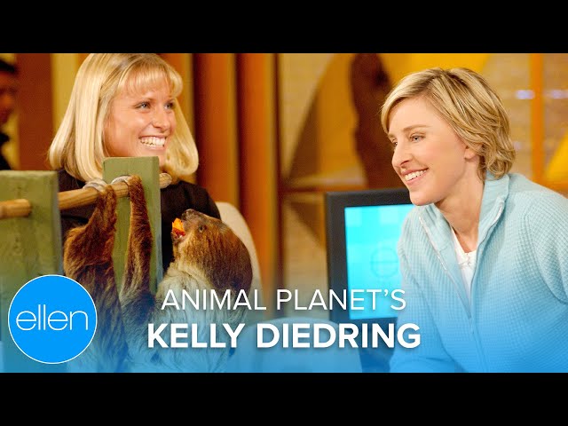 Animal Planet’s Kelly Diedring