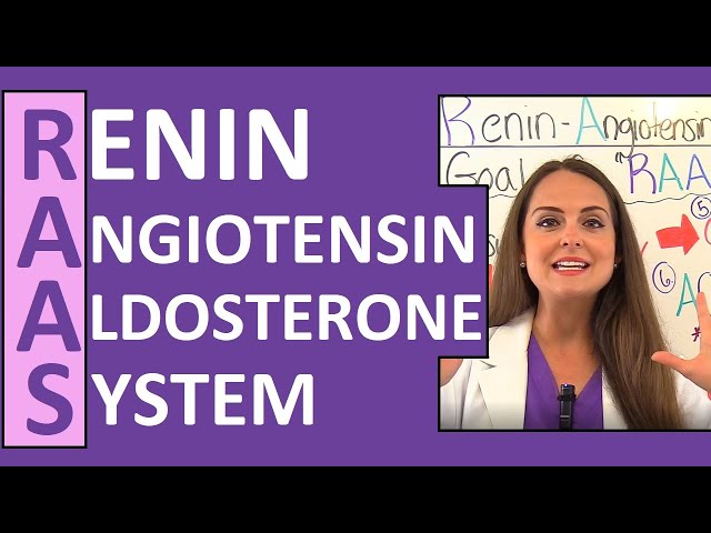 Renin Angiotensin Aldosterone System (RAAS) Nursing Mechanism for Blood Pressure