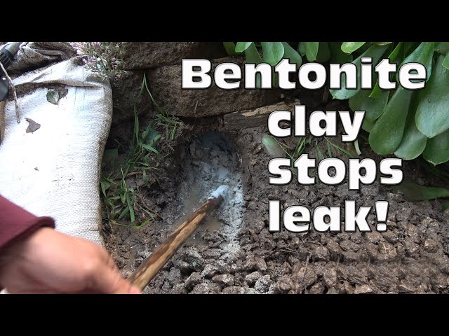 Stop flooding with Bentonite clay? Plug that gopher hole!