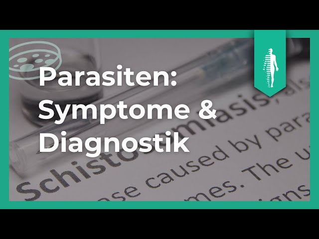 Parasiten: Das solltest Du darüber wissen! Symptome | Dr. med. Dietrich Klinghardt