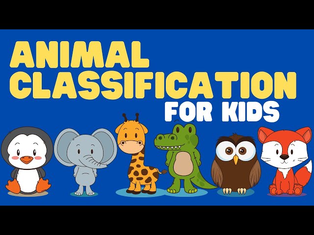Animal Classification for Kids | Learn how to Classify Animals and the Animal Taxonomies