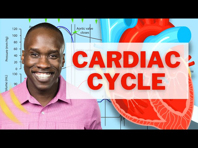 The Ultimate Cardiac Cycle Video - Most Comprehensive on YouTube!