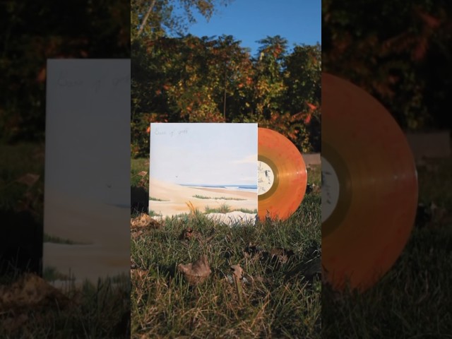 The vinyl repress of 'Shelters' by BARS OF GOLD is here - limited to 250🧡 #posthardcore #vinyl