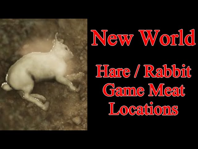New World hare, rabbit, game meat locations guide tutorial