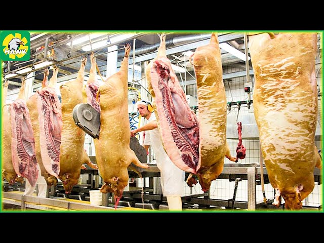 🐖 How American Farmers Raise and Process Pork | Processing Factory