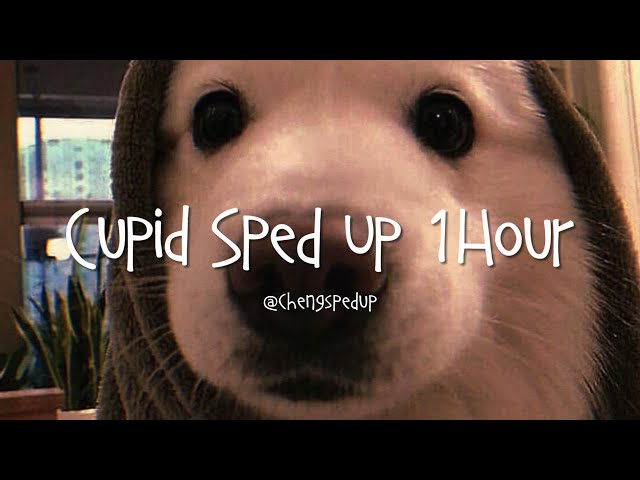 cupid sped up 1 hour