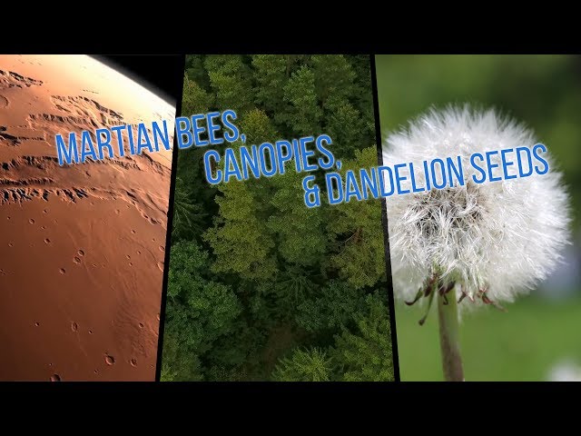 Martian Bees, Canopies, and Dandelion Seeds