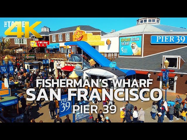 SAN FRANCISCO - Fisherman's Wharf, San Francisco, Pier 39, California, USA, Travel, 4K UHD
