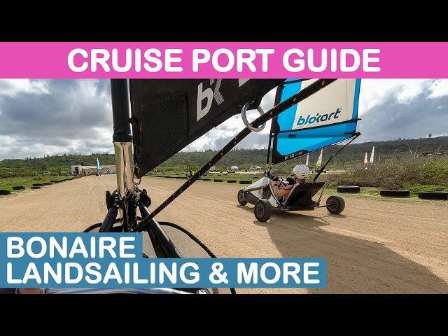 Bonaire Cruise Port Guide: Landsailing & More