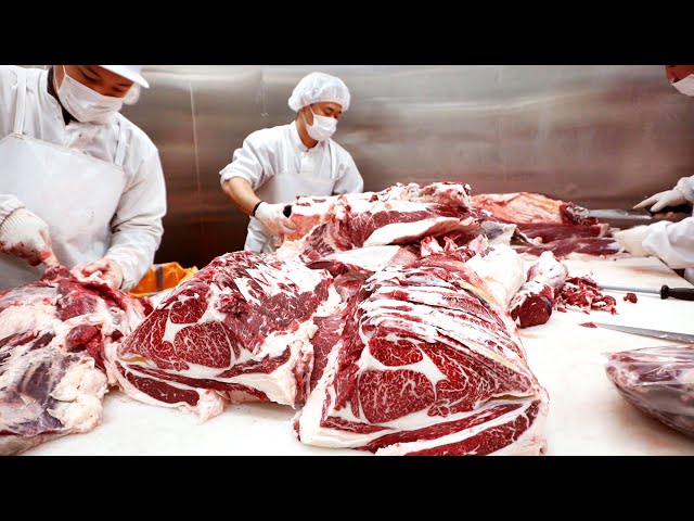 (HACCP ver) HOW TO BUTCHER AN ENTIRE COW - The process by which beef is made  / 소발골,발골교육,신부축산