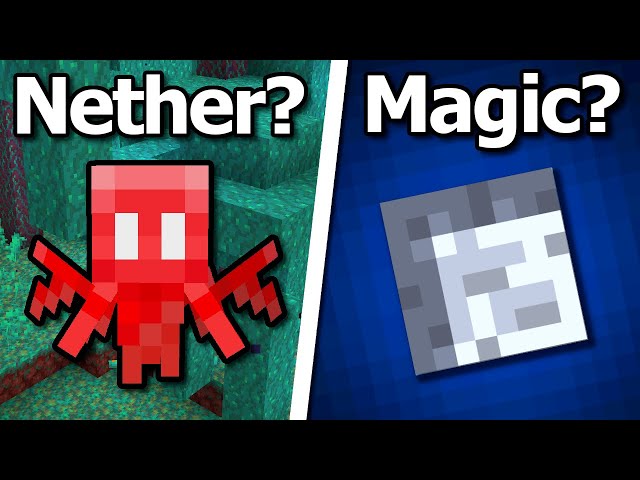 20 Minecraft Questions Answered!