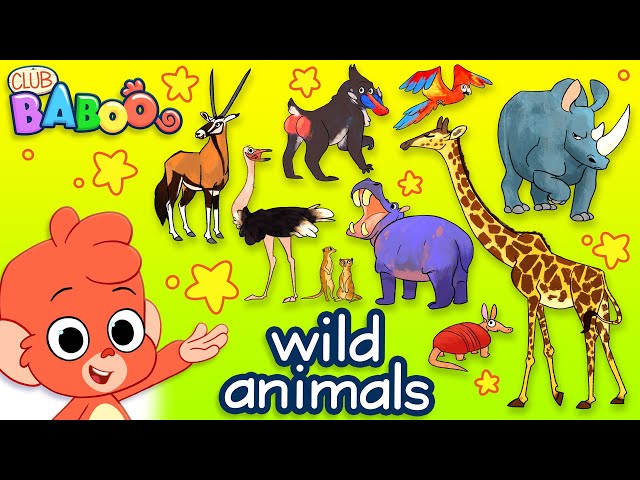 Learn Wild Animals For Kids | Wild Zoo Animals Names and Sounds for Children | Club Baboo