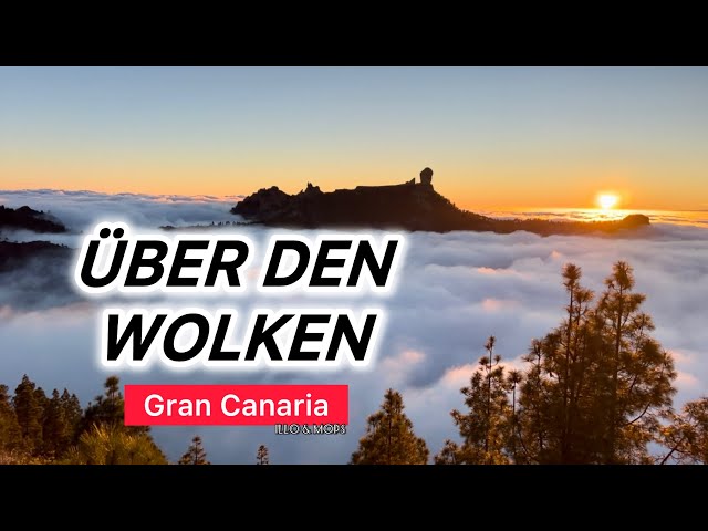Kostenloser Campingplatz mit phänomenaler Aussicht 🤩 Corral de los Juncos | Gran Canaria Tour #14