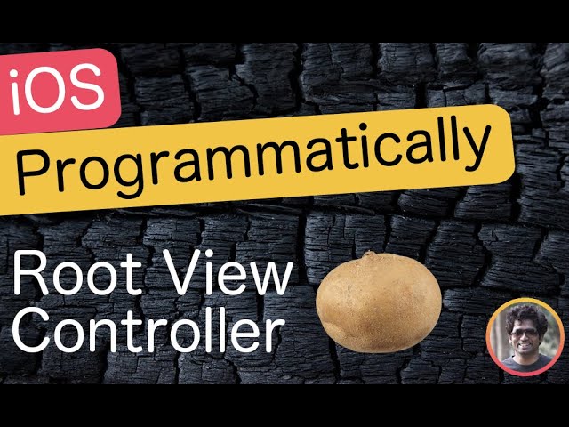 How to Set Root View Controller Programmatically in Swift 5 & Xcode 11
