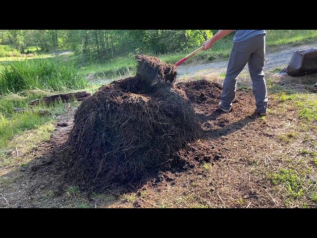 "Epic Compost Challenge: From Scraps to Black Gold in Just 18 Days!
