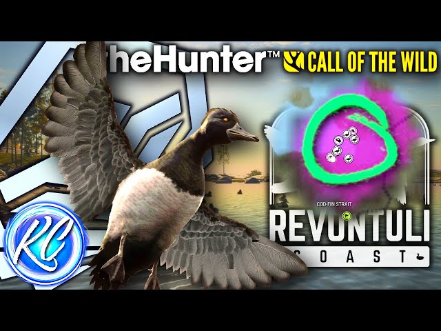 Hunt ALL DUCK SPECIES at ONE SPOT in Revontuli Coast! Diamond Tufted Duck! | Call of the Wild