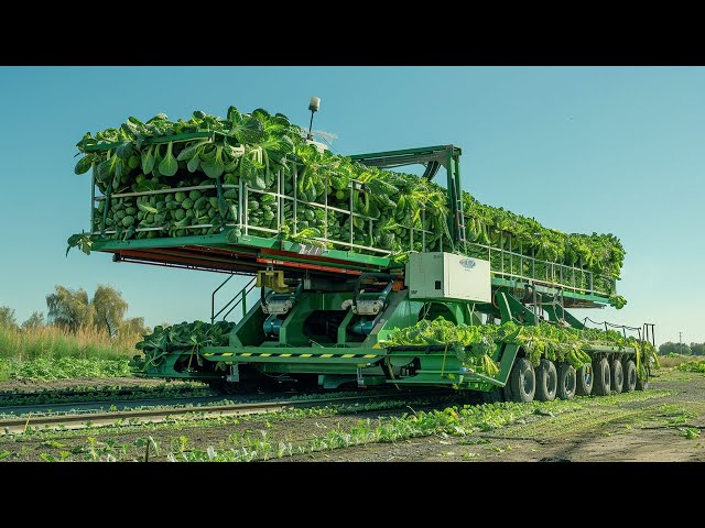 2024's Advanced Agricultural Tech: Harvesting Machines for Pumpkins, Brussels Sprouts, and Walnuts