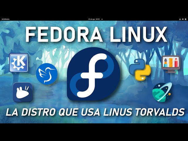 🐧 FEDORA Linux // Review y Opinion