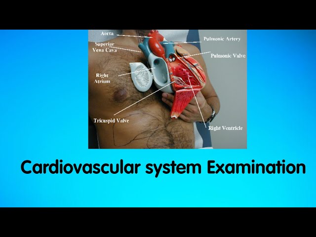 Clinical Examination of Cardiovascular system|| JVP || Auscultation