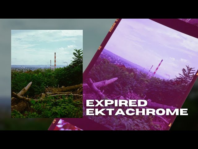 this Ektachrome expired 20 years ago | life on film