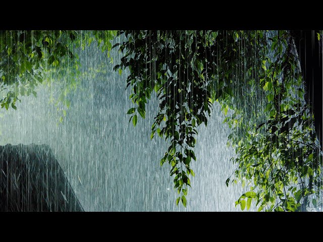 4K Night Rain & Thunderstorm in Forest | Heavy Rainstorm & Very Strong Thunder Sounds | White Noise