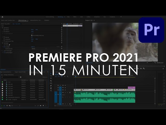 Adobe PREMIERE PRO 2021 Einstieg in nur 15 MINUTEN - Tutorial Deutsch