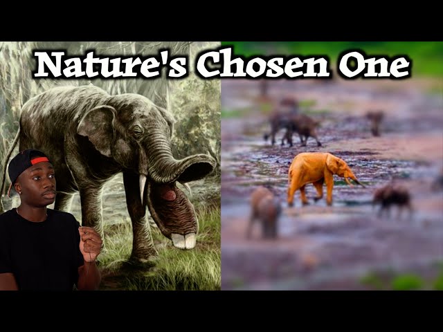 How Nature Accidentally Created the Perfect Animal